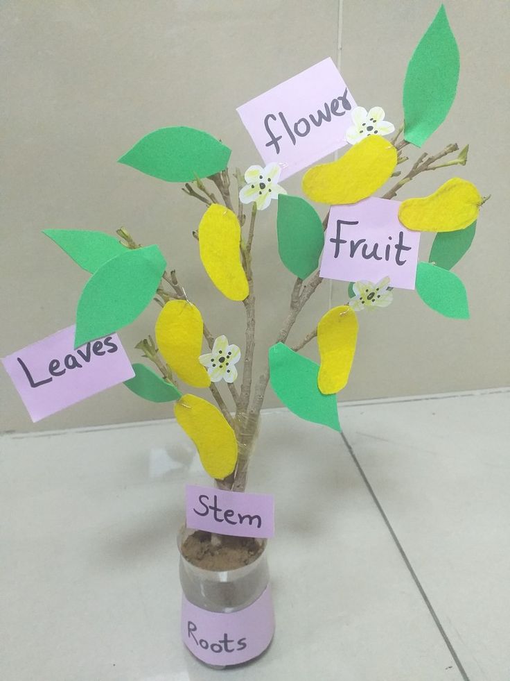 a plant with flowers and leaves in a jar filled with rocks, paper notes and magnets