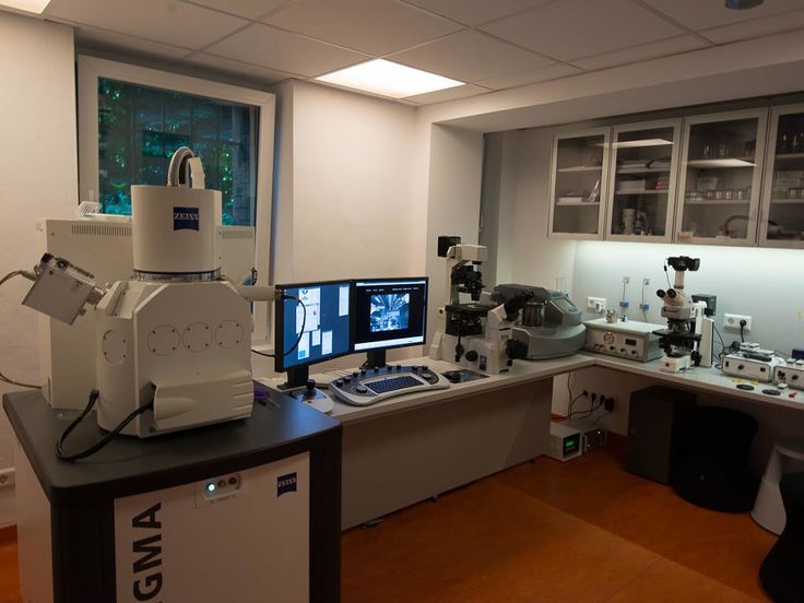 a lab with microscopes, monitors and other equipment