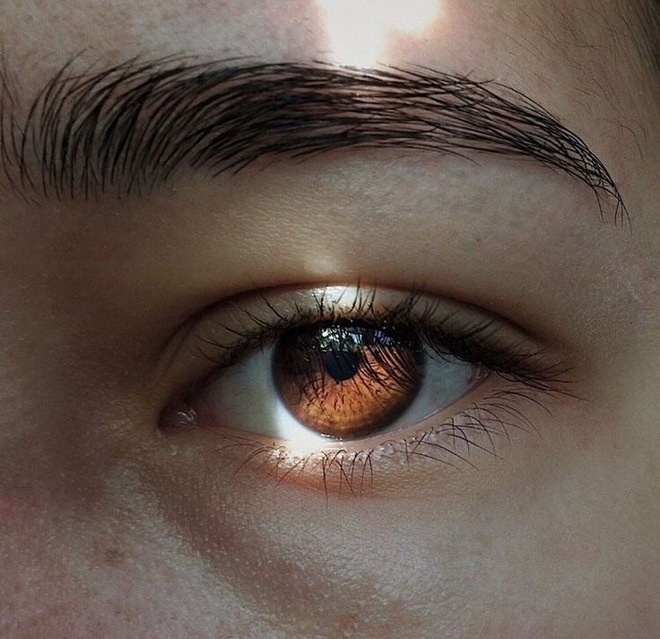 Image about eyes in Hufflepuff aesthetics🌼 by jane_sobol Hawke Dragon Age, Brown Eyes Aesthetic, Beautiful Eyes Color, Brown Eye, Brown Eyed Girls, Eye Photography, Aesthetic Eyes, Jolie Photo, Pretty Eyes