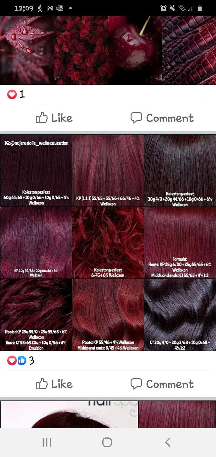 Red Hair Toner Formula, Rusk Hair Color Formulas Red, Raspberry Brunette Hair, Red Hair Color Names, Raspberry Hair Color Formula, Burgundy Color Formulas, Violet Red Hair Color Formula, Red Hair Wella Formula, Chroma Garnet Hair Color Loreal