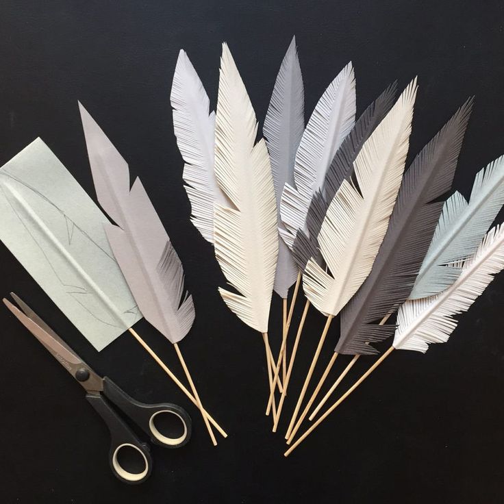 several different types of feathers and scissors on a black surface with one being cut into smaller pieces