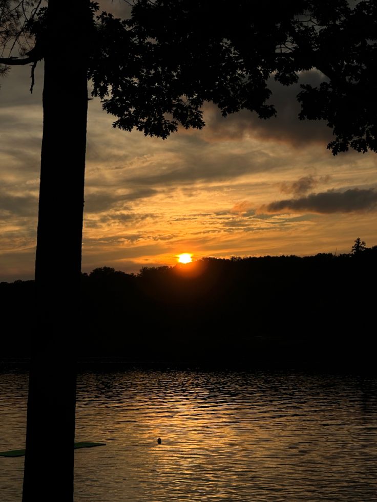 the sun is setting behind some trees on the water