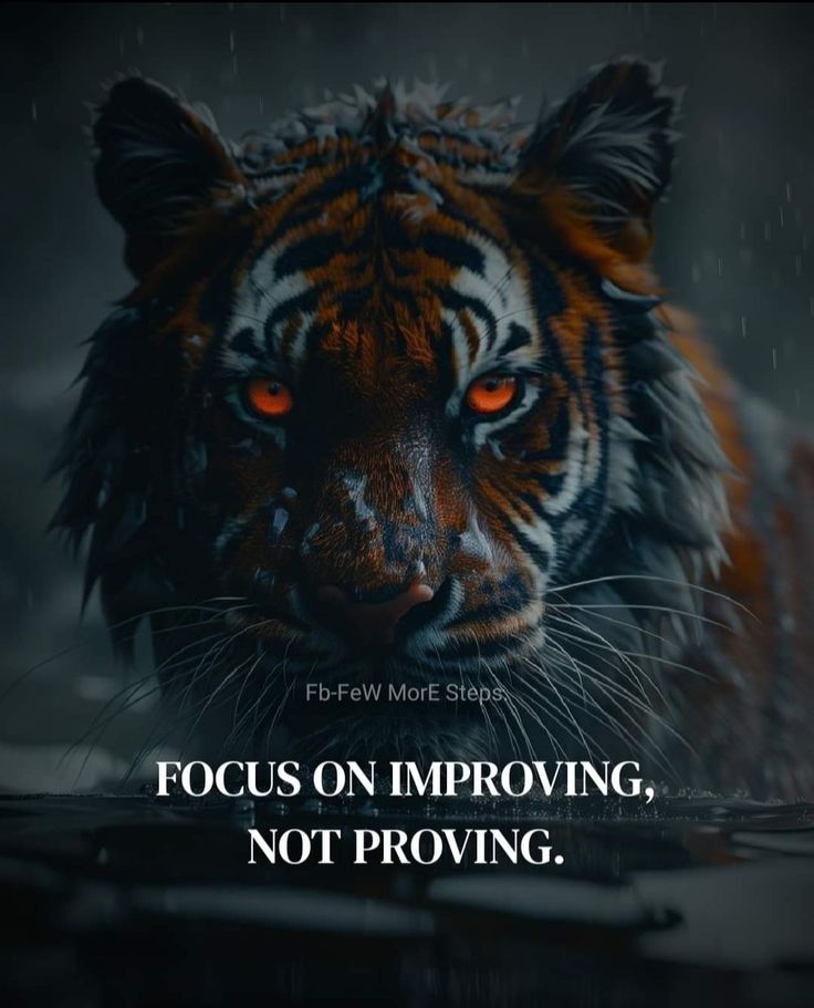 a tiger with the quote focus on imppoing, not providing