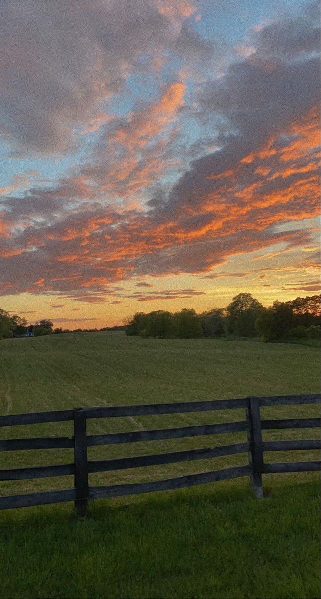 a horse standing on top of a lush green field next to a wooden fence under a colorful sky