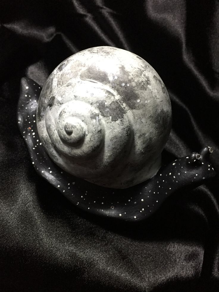 a black and white photo of a snail on a cloth with stars in the background