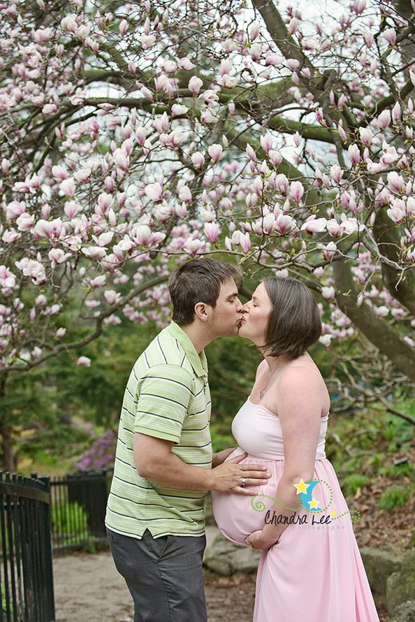 a pregnant couple kissing in front of a flowering tree