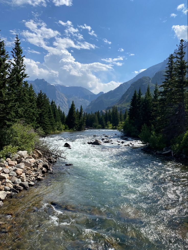 a river running through a forest filled with rocks and pine trees on a sunny day