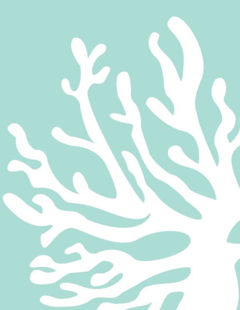 the silhouette of a white coral on a light blue background is featured in this image