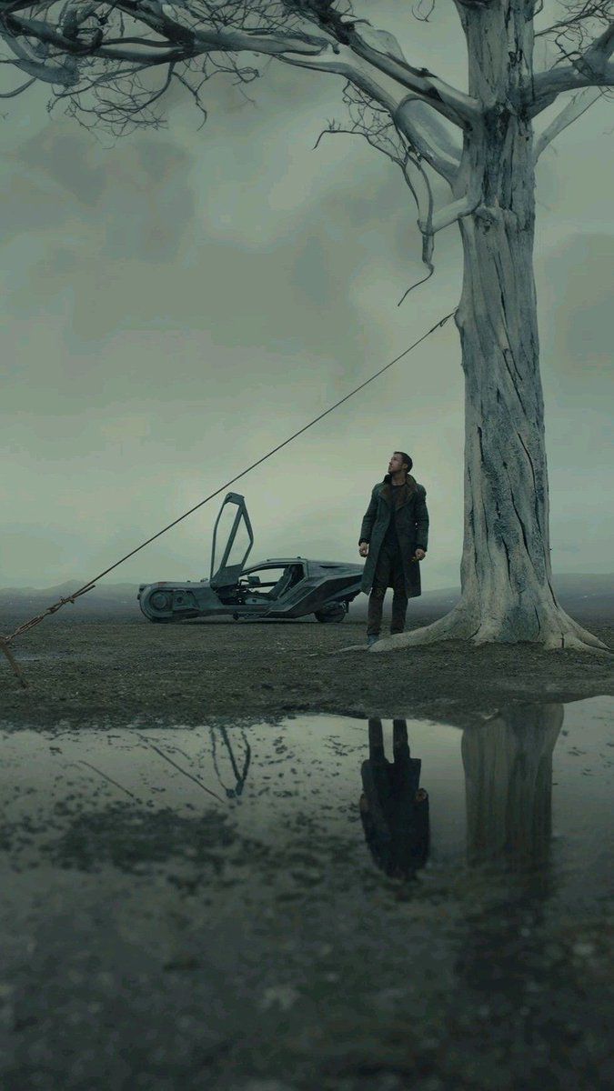 a man standing next to a tree in front of a body of water with a boat on it