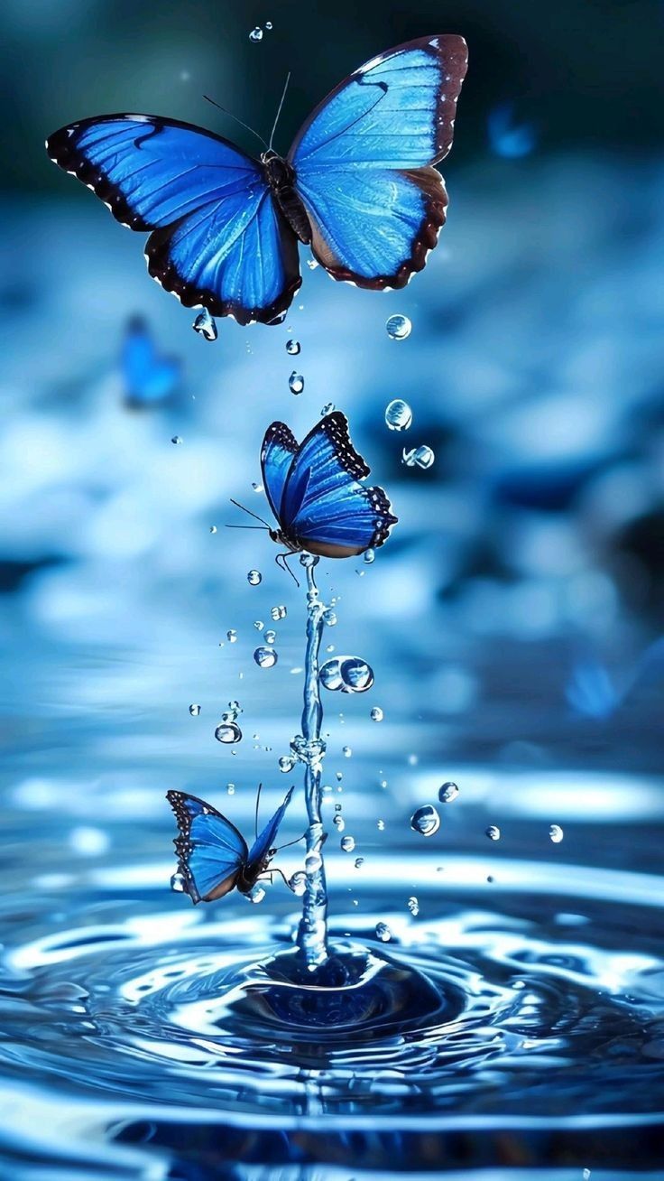 two blue butterflies flying in the air above water with bubbles on it's surface