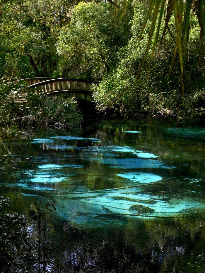 a bridge over a river surrounded by lush green trees and blue pool water with algae growing on it