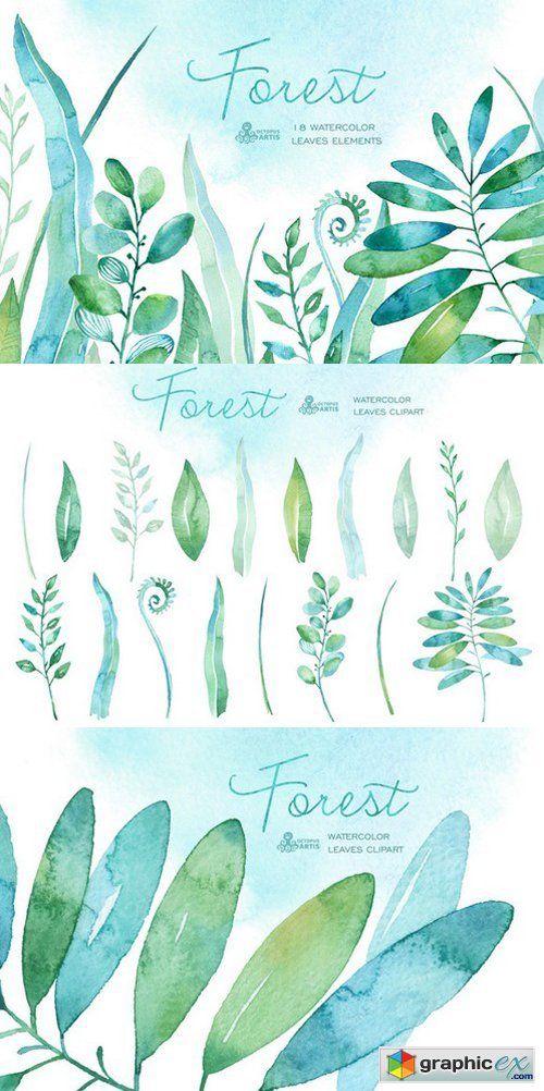 watercolor leaves and plants are shown in the same color scheme, each with their own name