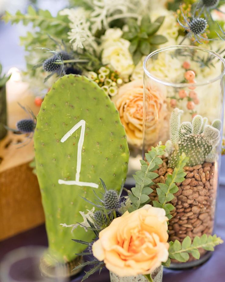 the table is decorated with cactus and succulents