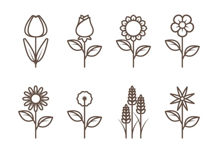 different types of flowers and leaves on a white background, line art style illustration stock photo