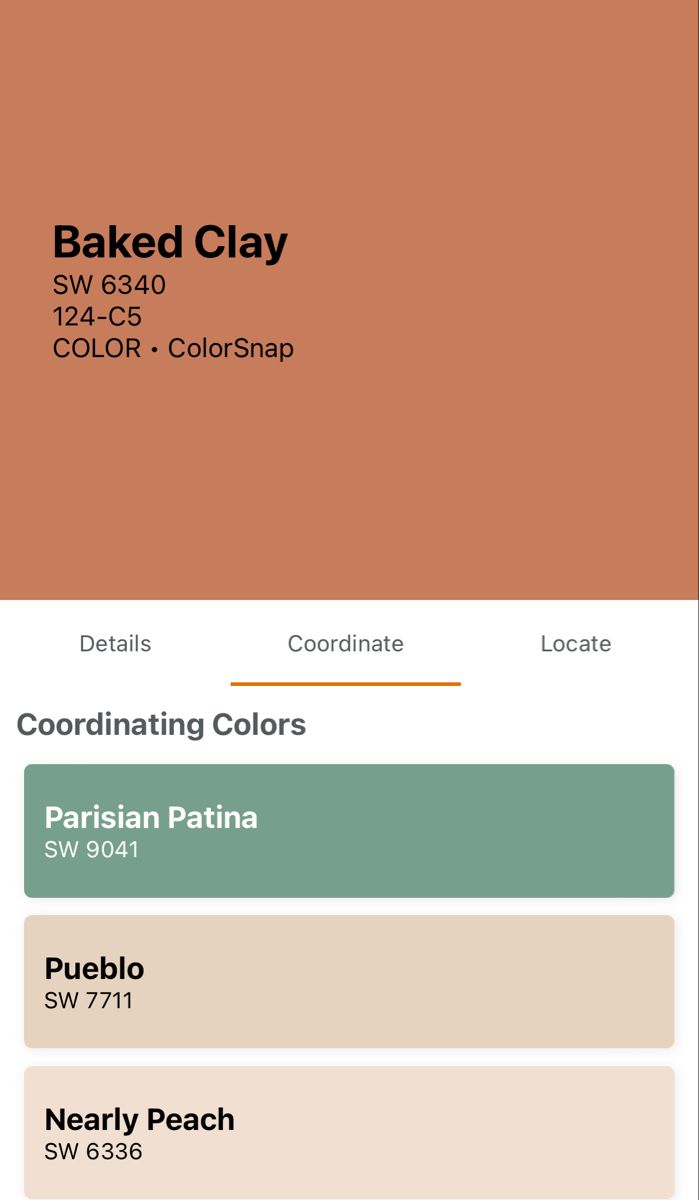 the color palette for baked clay