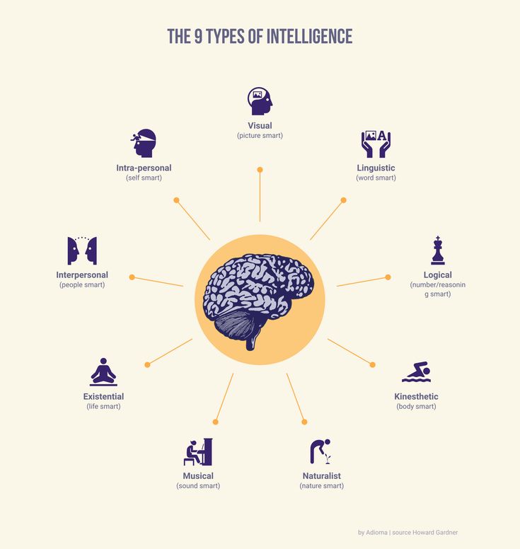 the 8 types of inteliligene