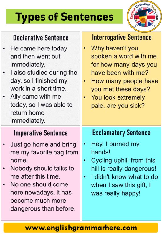 the four types of sentences are shown in this graphic above it is an image of what