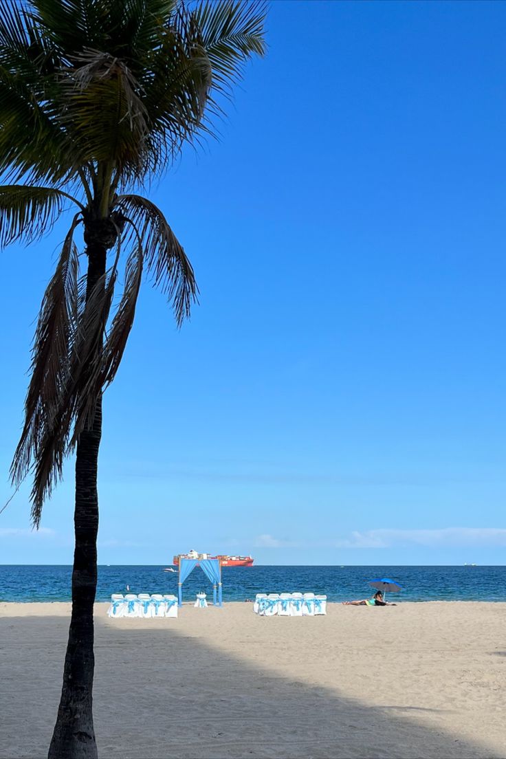 a palm tree sitting on top of a sandy beach next to the ocean under a blue sky