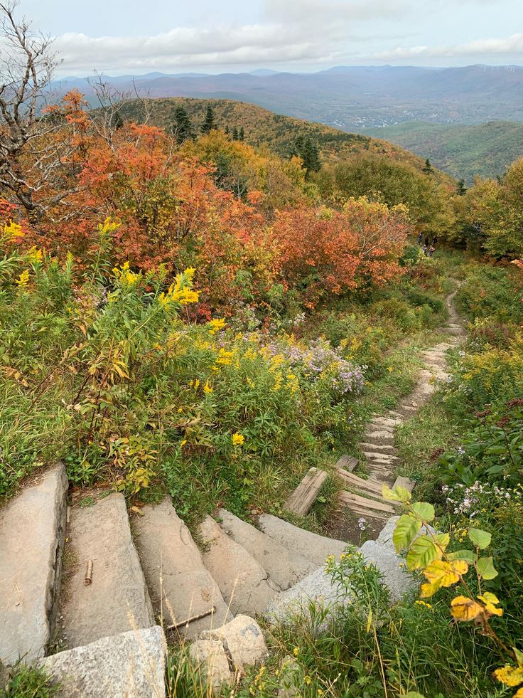 the trail is surrounded by colorful foliage and rocks