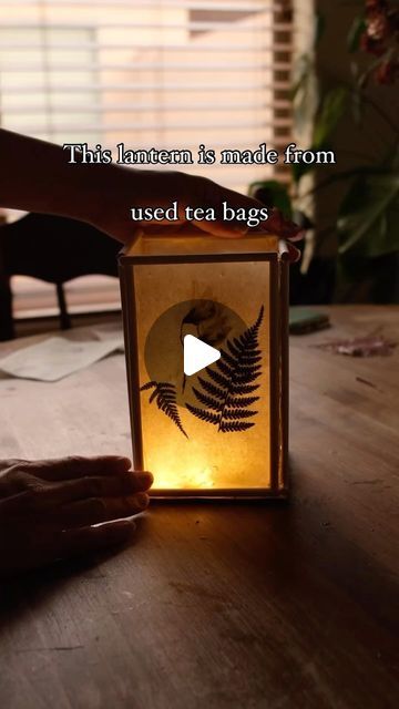 a person holding a lit up box with a fern on it and the words, this lantern is made from used tea bags