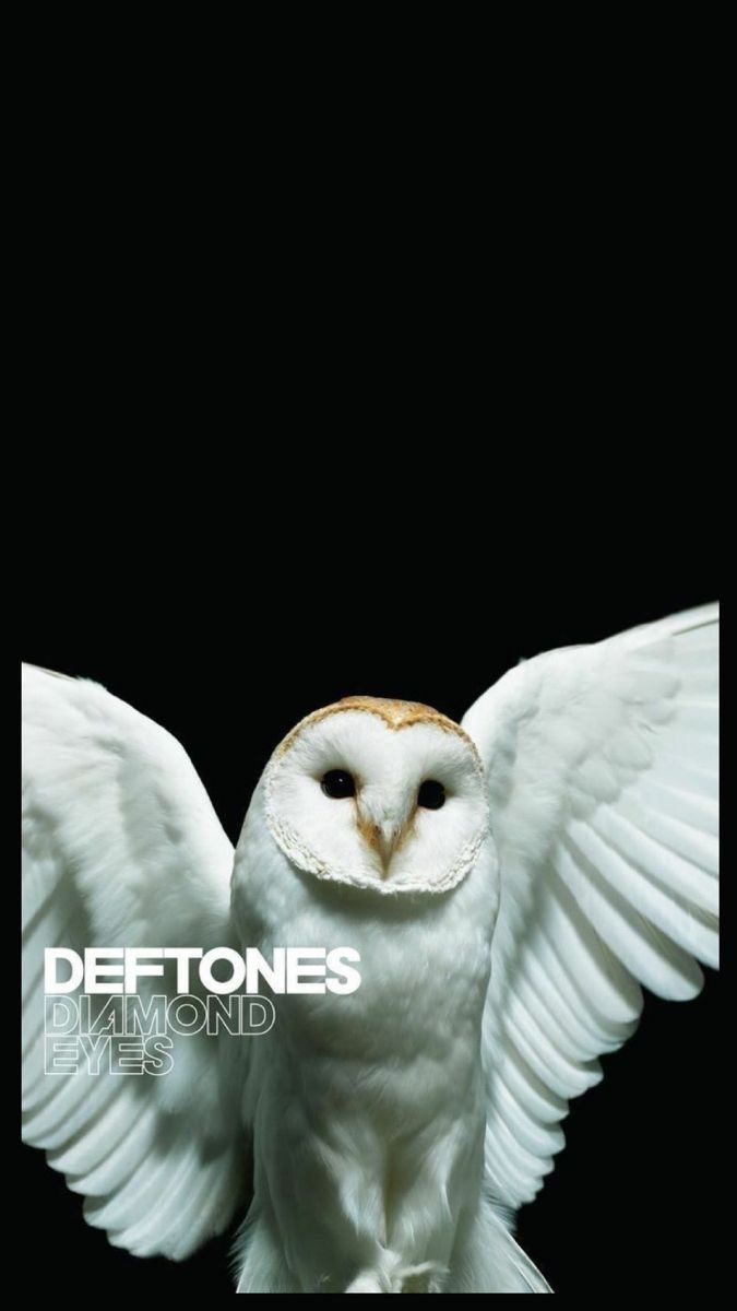 an owl with its wings spread out in front of a black background that says deftones