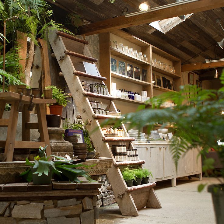 a wooden ladder is in the middle of a room filled with potted plants and other items