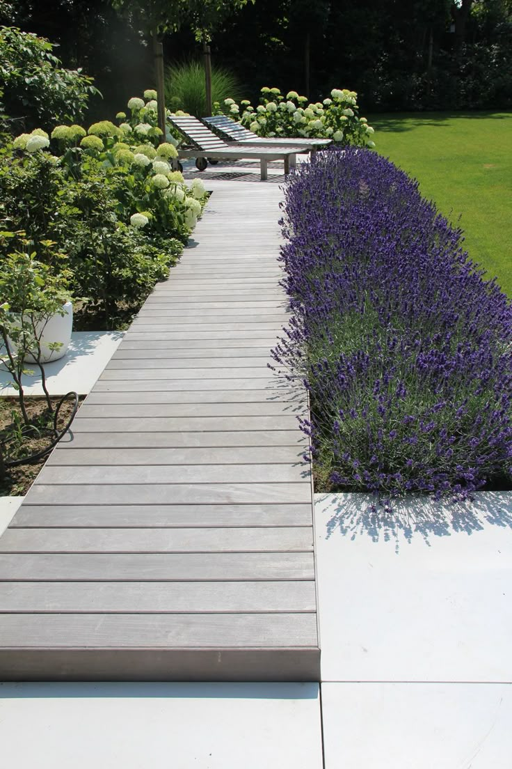 a wooden walkway between two rows of flowers