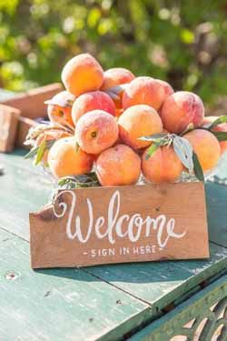 a wooden sign that says welcome with some peaches in the basket behind it on a table