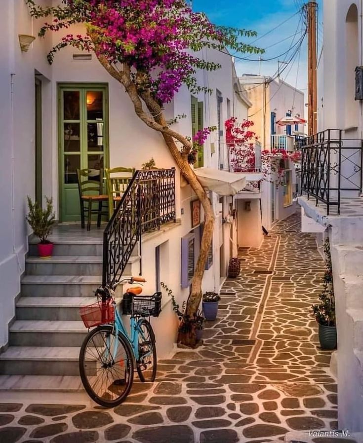 a bike parked on the side of a street next to a tree with purple flowers