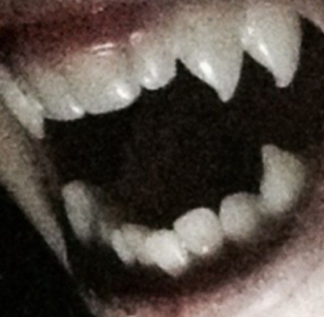 an open mouth with white teeth and black eyes is seen in this image taken from the camera