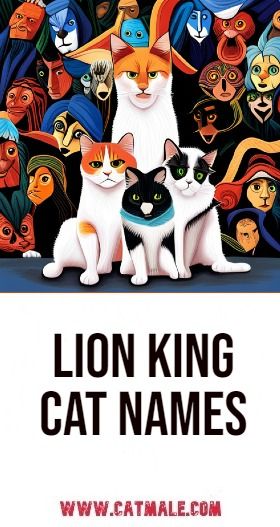 the lion king cat names are in front of many cats