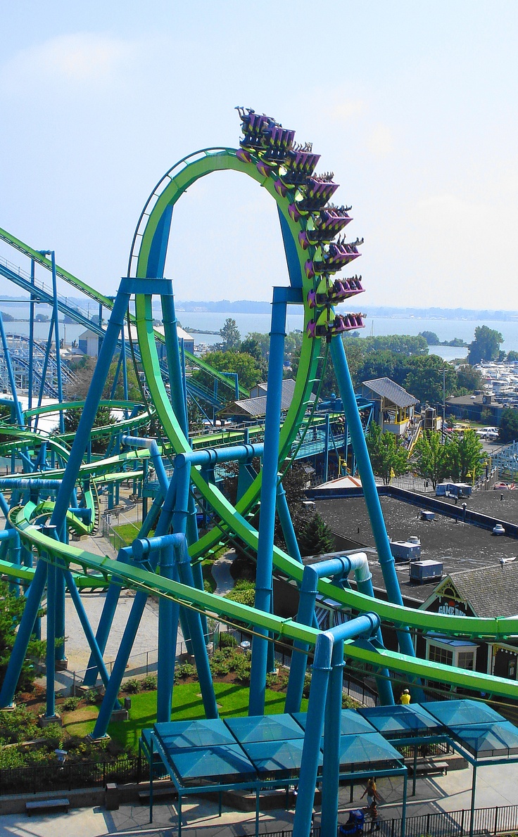 the roller coaster is green and blue with purple flowers on it's top half