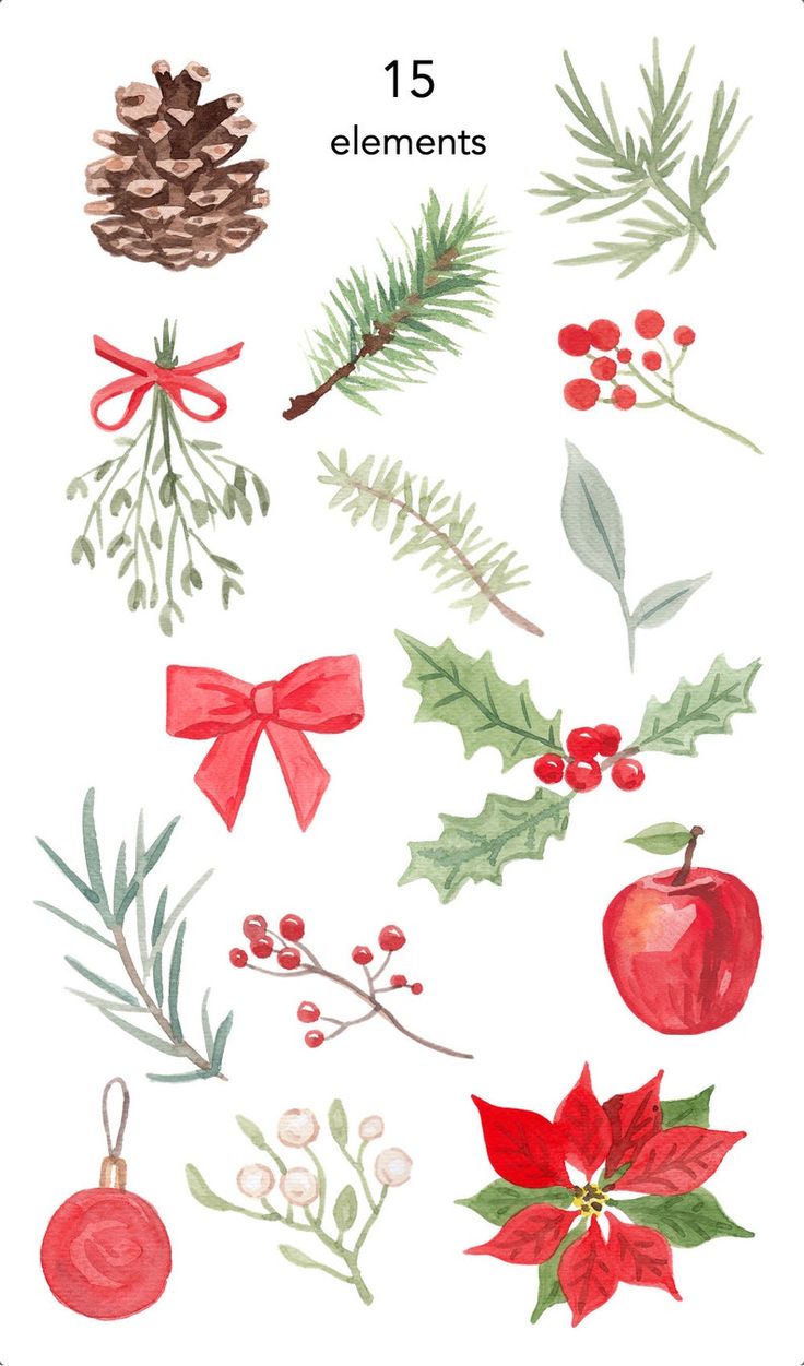 watercolor christmas clipart set with pine, holly, poinsetti and mist