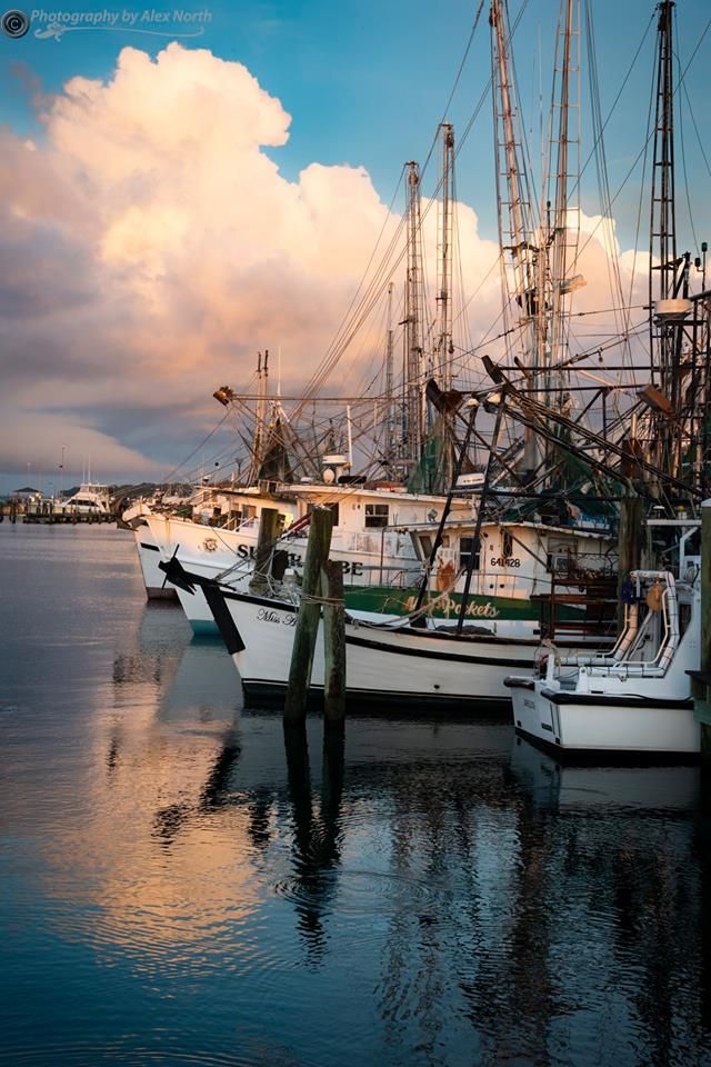 several boats are docked in the water near each other on a cloudy day with blue sky and white clouds