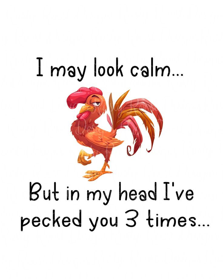 a chicken saying i may look calm but in my head i've pecked you 3 times