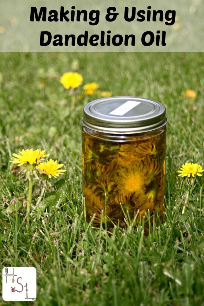 Infuse dandelion flowers in oil to help sore muscles and more. Dandelion Oil, Natural Healing Remedies, Herbal Healing, Herbal Oil, Natural Therapy, Homemade Remedies, Healing Herbs, Natural Health Remedies, Medicinal Herbs