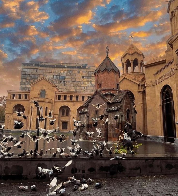 many birds are flying around in front of an old building