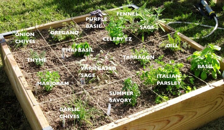 a garden box filled with lots of plants and labeled names on it's sides