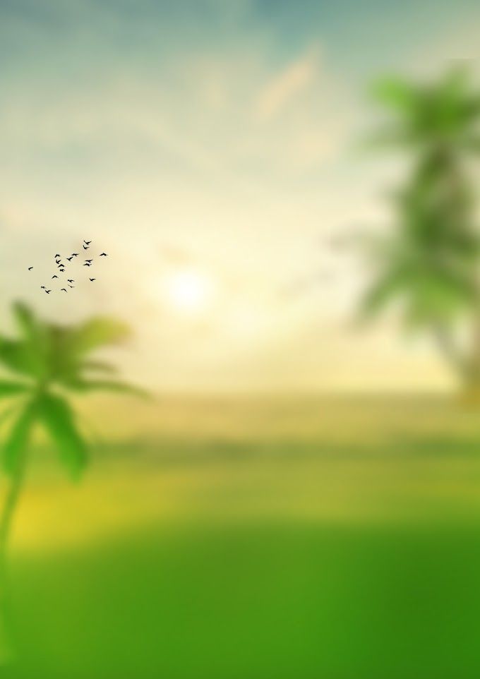 a blurry image of trees and grass with the sun setting in the sky behind them