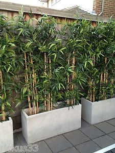 several planters with bamboo trees in them on the side of a building near a fence