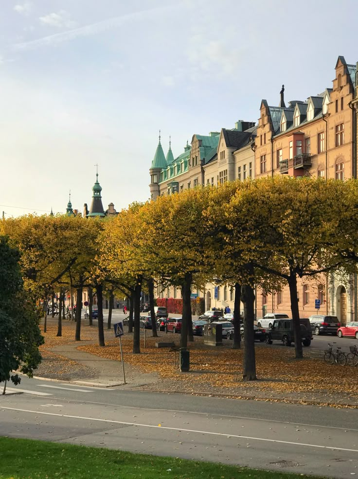 trees line the street in front of some old buildings with green spires on top