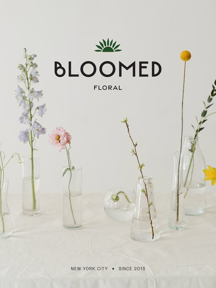 logo and tagline placed on a photo of individual flower stems in vases Florist Design Branding, Flower Shop Branding Design, Floral Branding Design, Flower Branding Design, Floral Packaging Design, Floral Shop Ideas, Floral Shop Logo, Flower Packaging Design, Floral Poster Design