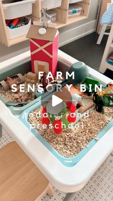 a table with some toys on it and the words farm sensory bin added to it