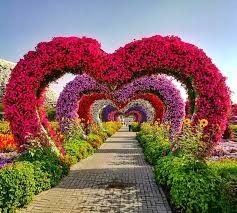 a heart shaped garden with flowers on the ground and in the middle, there is a walkway that leads to it