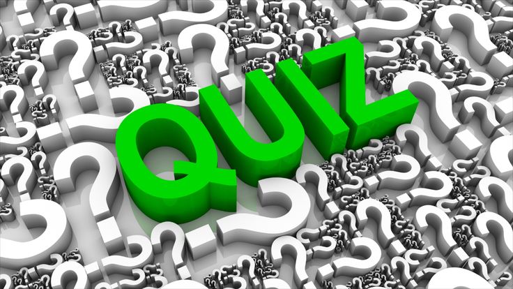 Quiz Whiz Wonders