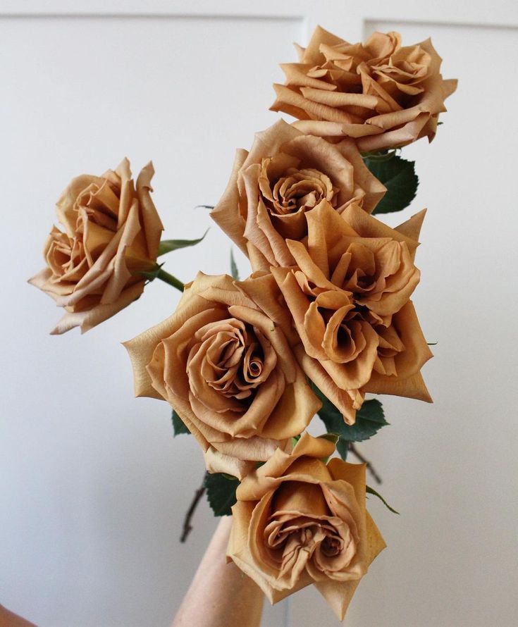 a person holding a bunch of roses in their hand with the stems still attached to it