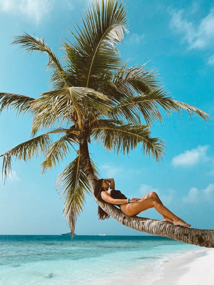 a woman laying on top of a palm tree next to the ocean