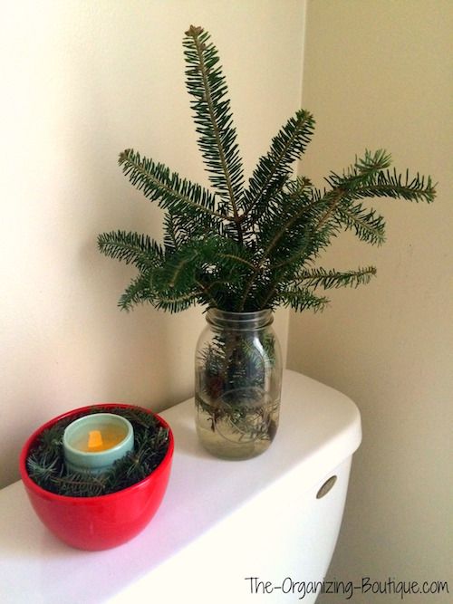 a potted plant sitting on top of a white counter next to a candle holder