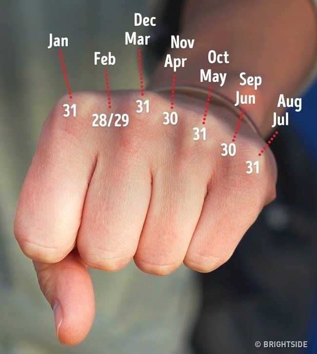 a person pointing their finger at something with red lines on the index and numbers below it