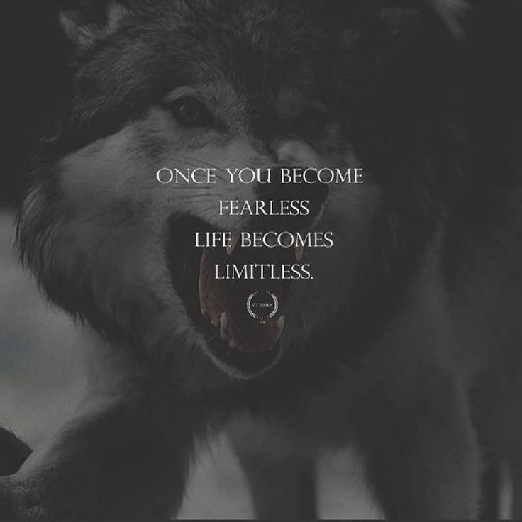 a wolf with its mouth open and the words, once you become fearless life becomes limitless